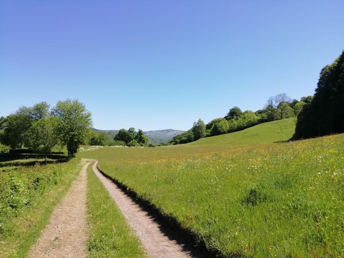 Maison à La Campagne Au Cœur Du Cantal Dept 15 * Marmanhac